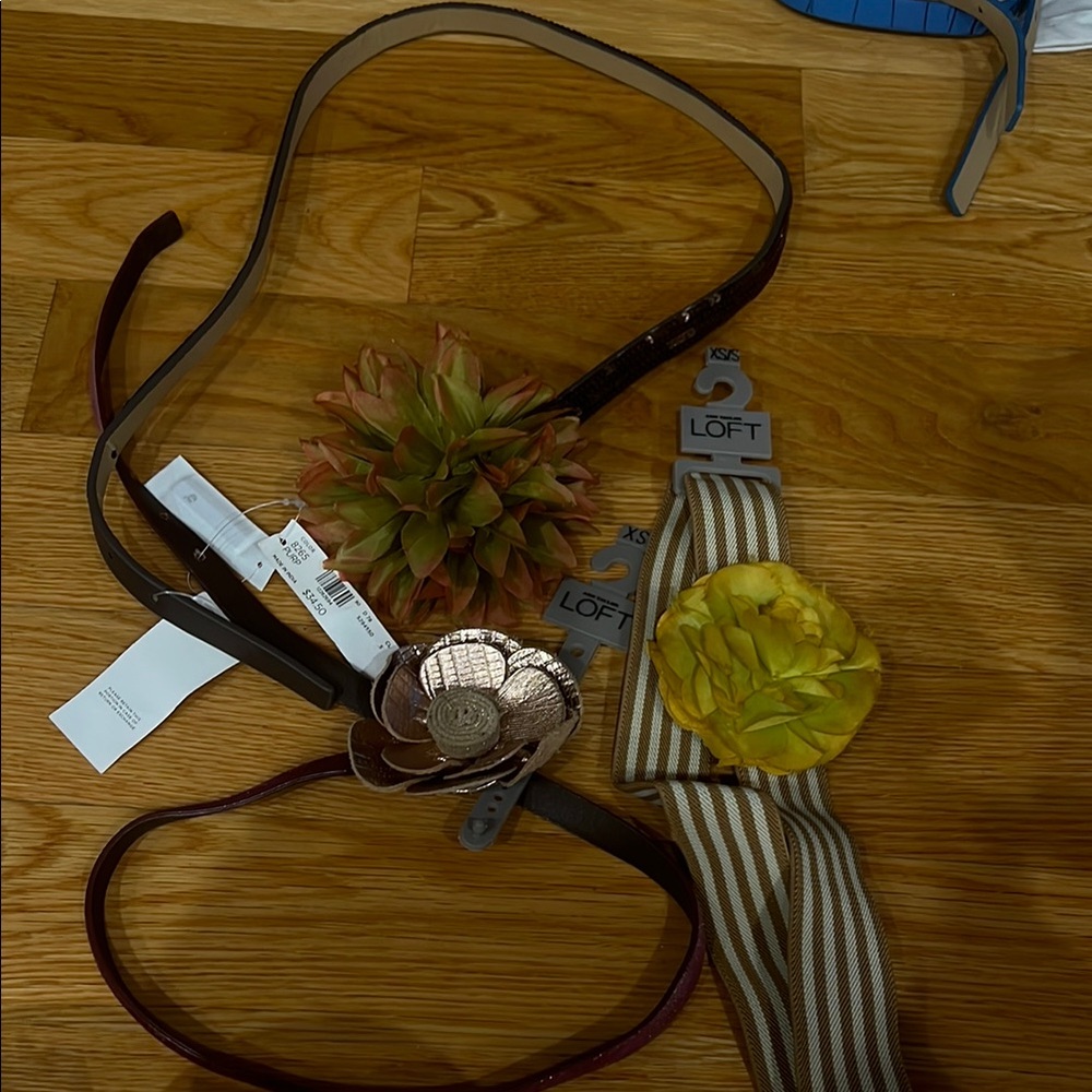 LOFT Brown and Yellow Belt Set Accessories